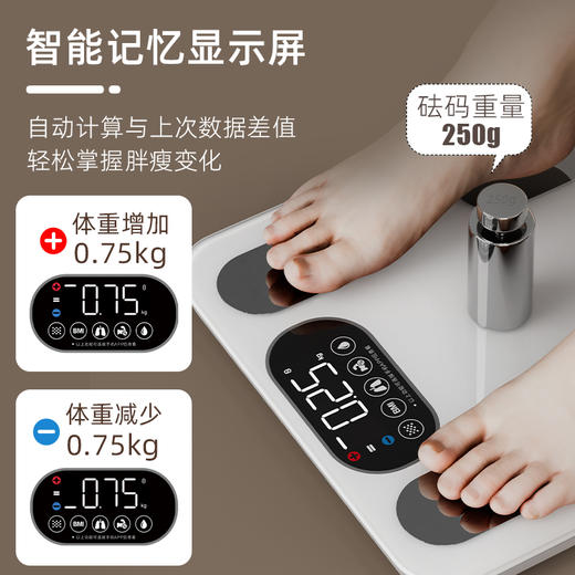 沃莱ICOMON智能体脂秤  FG2313UWB 商品图4