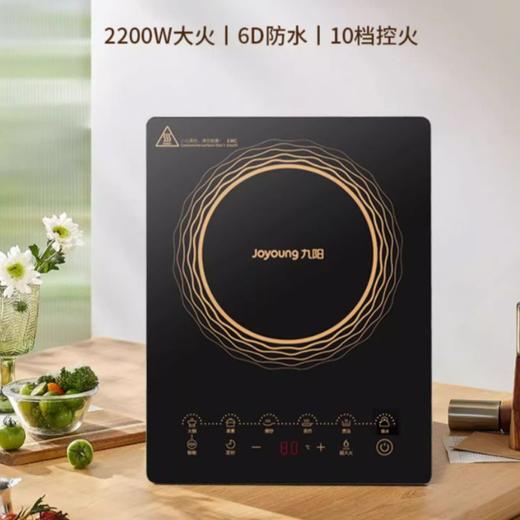 九阳电磁炉  C22S-N303-B4 商品图0