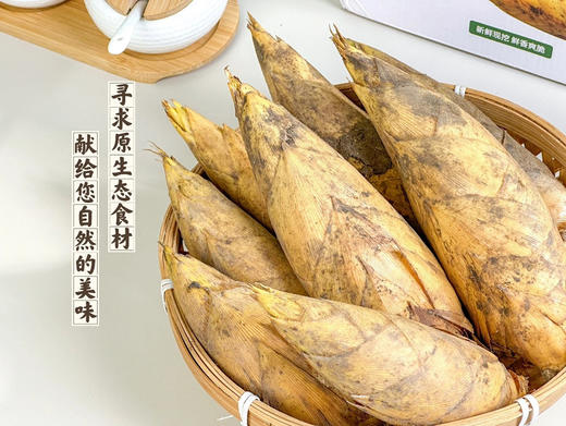 2025永安鲜冬笋去皮去壳只有笋肉，鲜冻笋发货，吃不完的话到家建议冷冻保存 每天现挖现发基地直邮 商品图2