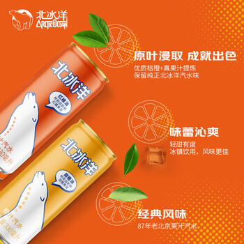北冰洋 橙汁汽水 经典果汁汽水 气泡饮料碳酸饮料 330ml*6罐/试饮装 /水饮冲调 /饮料 /碳酸饮料 商品图4
