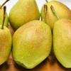 新疆库尔勒香梨鲜甜多汁香脆可口 商品缩略图1