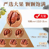 沃隆 山核桃仁 天目山精选当季新果120g 严选当季新果大果 商品缩略图5