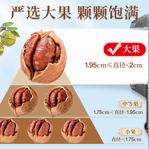 沃隆 山核桃仁 天目山精选当季新果120g 严选当季新果大果 商品图5