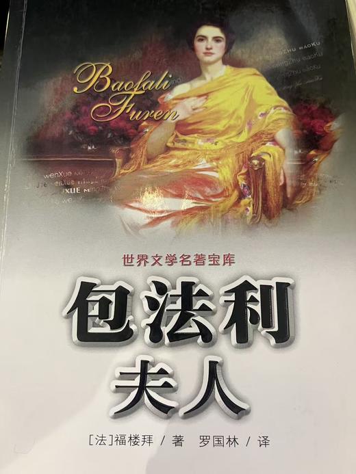 【独家旧书3折】包法利夫人  二手书籍（新疆 西藏 甘肃 青海 海南不发货）bj 商品图0
