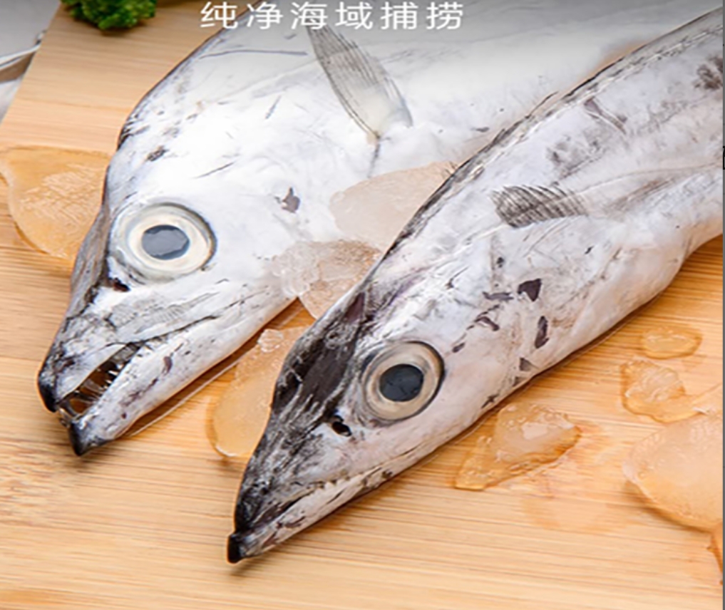 【顺丰包邮】2025渤海湾小眼船刀鱼，深海野生网捕精品3-4指宽带鱼，整条发货不切段❗❗❗❗基地直邮