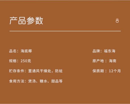 【福东海】海底椰250克/袋 商品图2