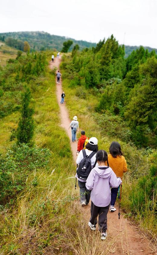 12.20/21，每周一山，亲子徒步，彩林最美的季节，甲尔猛错-带娃看冰瀑，卧龙高山牧场，漫步高山草甸，穿越森林，邂逅成群牛羊马，亲子游戏。 商品图3
