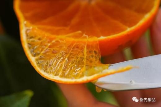 柑橘天花板「红美人」！香甜Q弹 可以吸着喝的爆汁果冻！ 商品图6