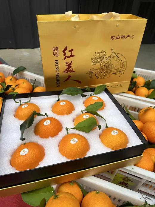 柑橘天花板「红美人」！香甜Q弹 可以吸着喝的爆汁果冻！ 商品图4