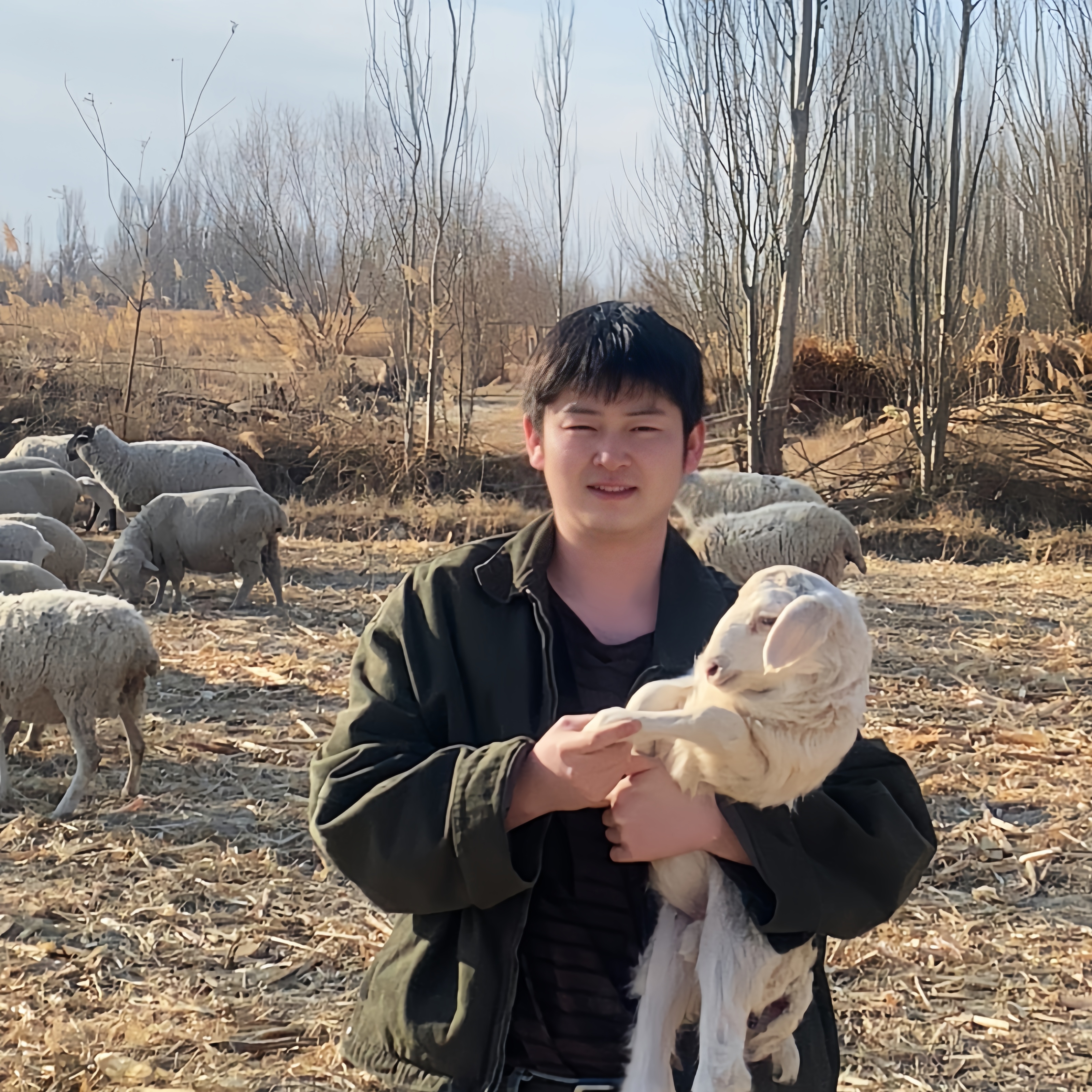 甘肃酒泉碱地散养滩羊（羊羔肉，羊肉）【顺丰空运】