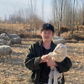 甘肃酒泉碱地散养滩羊（羊羔肉，羊肉）【顺丰空运】