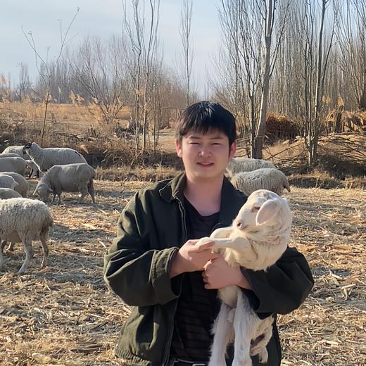 甘肃酒泉碱地散养滩羊（羊羔肉，羊肉）【顺丰空运】 商品图1