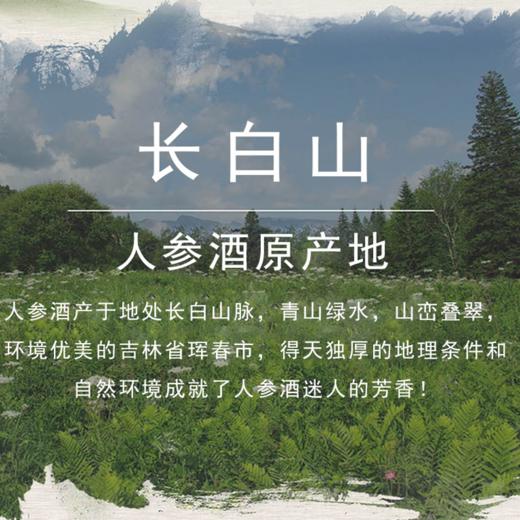 兴合吉供蓝色经典窖藏人参酒【精装】【500ml】 商品图2