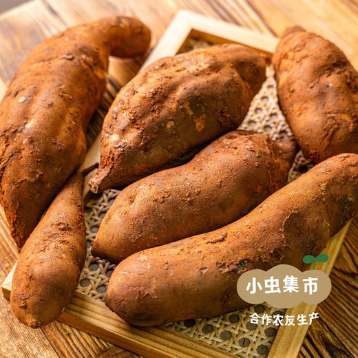 云南生态雪莲果 5斤 | 合作农友生产，产自云南富民，生产者：张志富 *【公平贸易农人定价】 商品图2