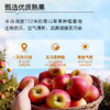 低脂苹果脆丁10g（6包、10包） 商品缩略图2
