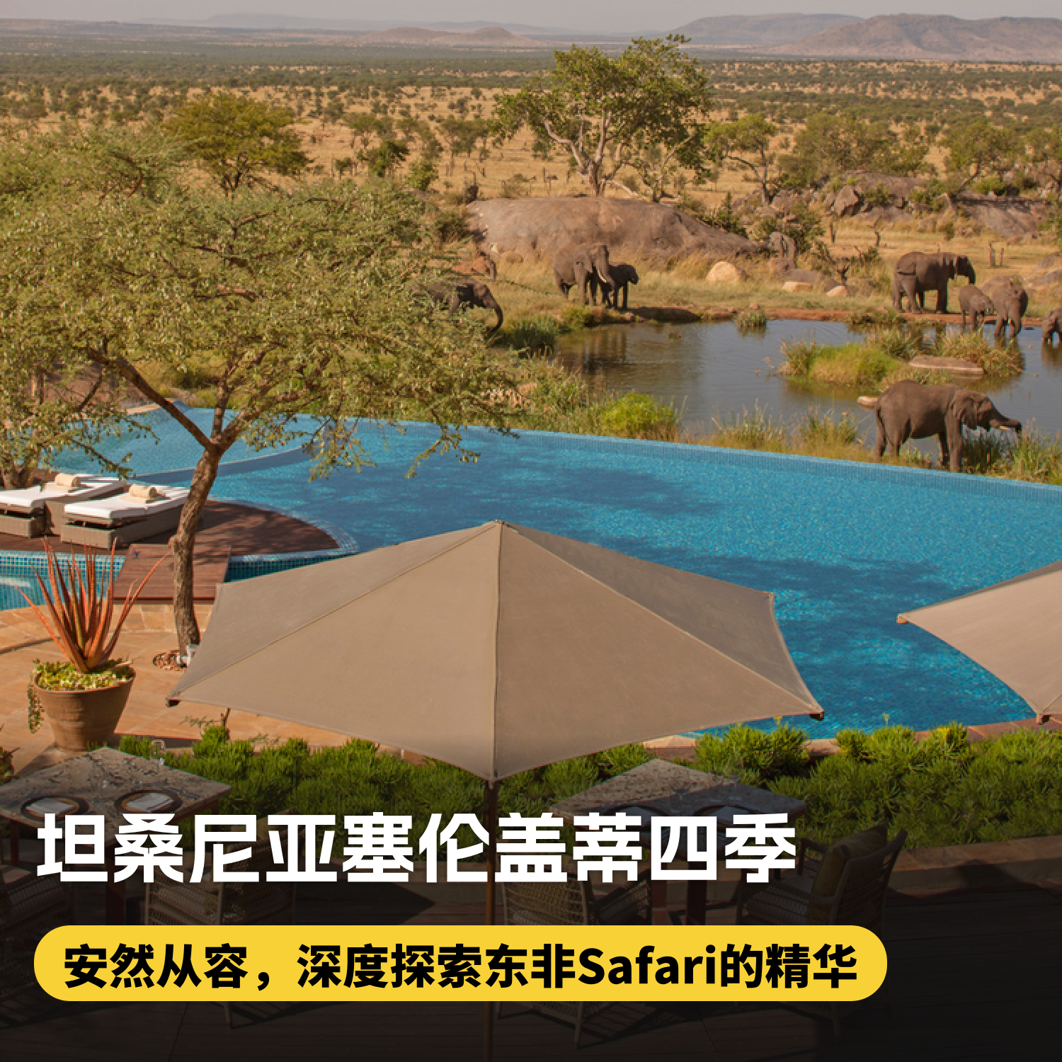 5天4晚【坦桑尼亚塞伦盖蒂四季 | Four Seasons Serengeti】2026全年可用！四季司导专车游猎、每日三餐酒水、丰富儿童活动、内陆段往返机票及VIP接送机，安心深度领略东非草原心脏