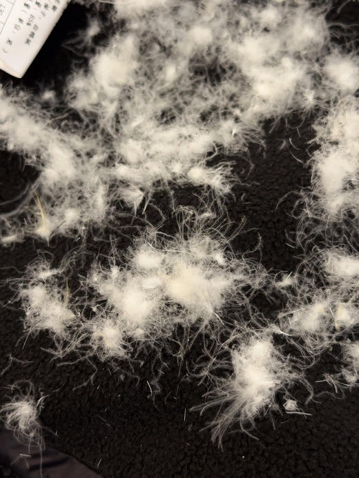 特价小立领男女宝同款85%白鸭绒亲子羽绒服 商品图7