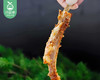 大厨孜然羊排-整块（500g±50g/包 配料包）生产日期: 1月 商品缩略图2