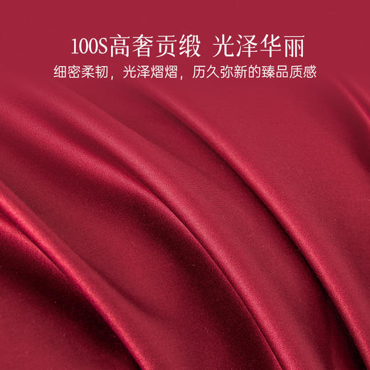 2025年新款雅芳婷100S埃及长绒棉床上四件套全棉蕾丝被套床单套件 商品图3