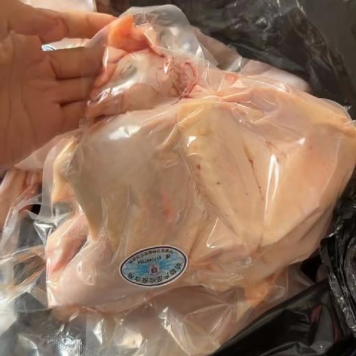 现杀老母鸡2.5斤以上 商品图1