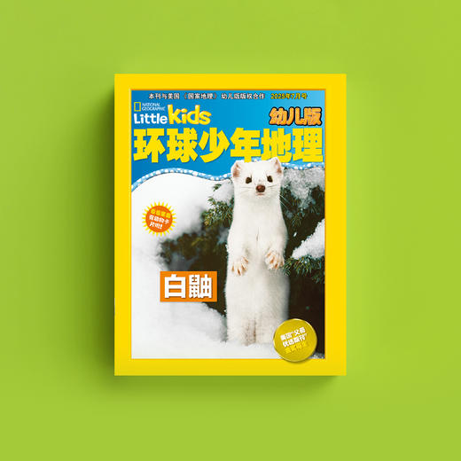 《环球少年地理》 幼儿版2026年12期，每期配套《动物总动员》游戏书，共24本 商品图3