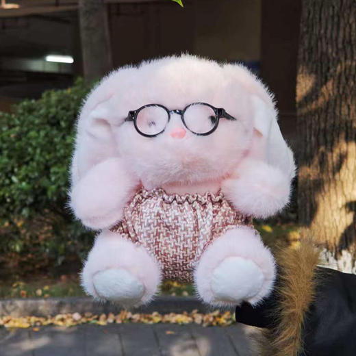 23cm眼睛萌宠生日礼物毛绒公仔-纪念日百货门店同款168047507 商品图6