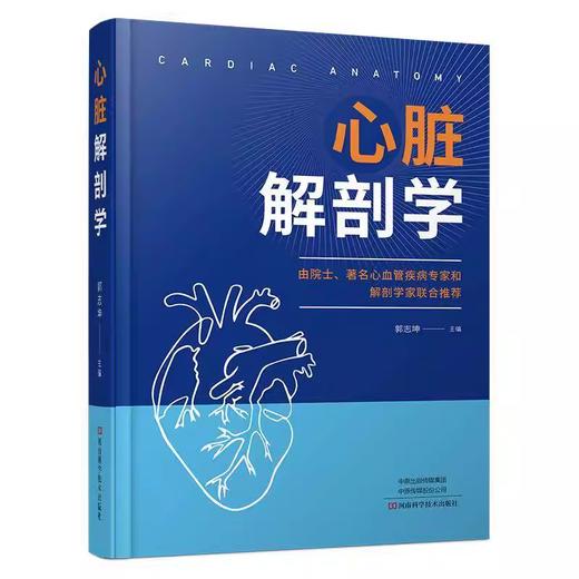 心脏解剖学 商品图0