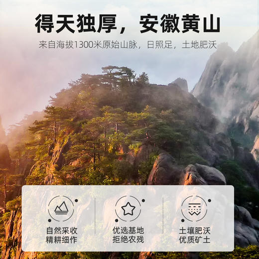 严选 | 杞里香金丝皇菊20g*3罐 自然晾晒 大朵均匀 口感清新甘甜 商品图4