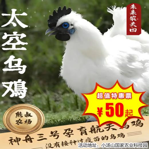 【半日营·12月20日-12月28日】未来农夫4：探秘太空育种的神奇。亲手孵化生命的奇迹/完成军事定向捡蛋任务/品尝营养卧鸡蛋！累积公益时长8小时！ 商品图0