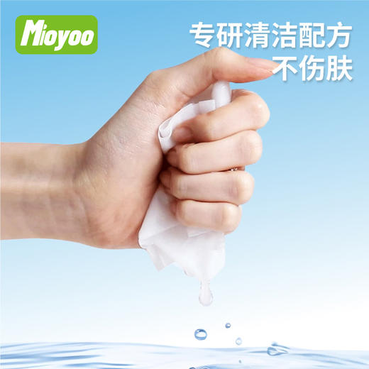 干净卫生方便卫生湿巾80片湿巾-纪念日百货门店同款168246451 商品图3