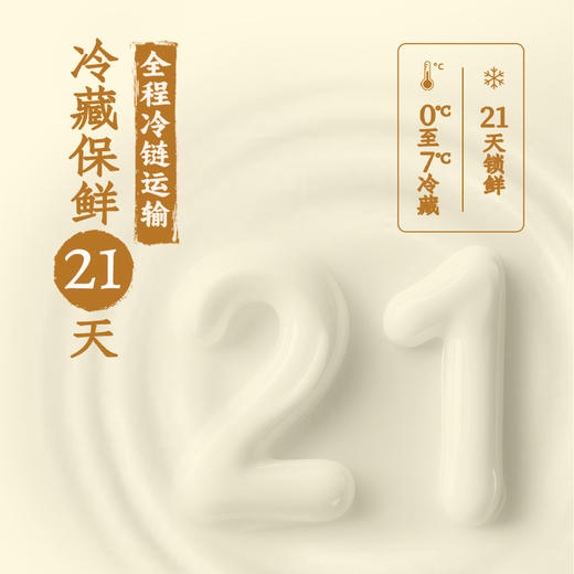味全玉米牛奶240ml瓶 添加生牛乳 瓶装饮品  冷藏玉米乳饮 商品图3