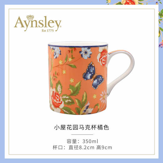 英国 Aynsley安斯丽   小屋花园系列温莎马克杯 商品图2