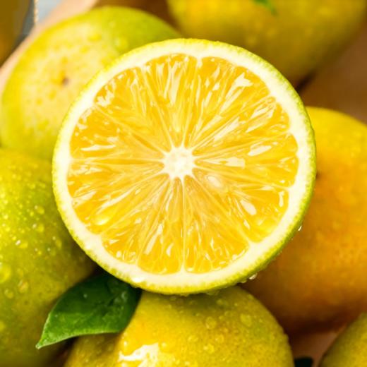 【偏远地区不发货，具体看详情页】正耕 有机德庆贡柑5斤装 商品图1