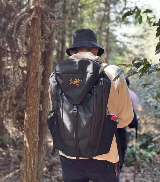 20L户外双肩包书包 商品图1