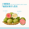 小糖臻选「福建好果子」芭乐 商品缩略图0