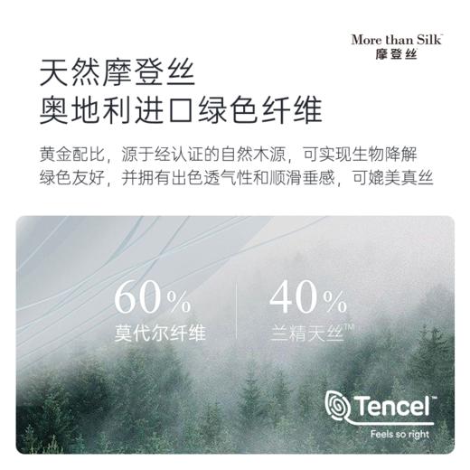 2025年秋冬新款雅芳婷60纱支摩登丝床上四件套莫代尔天丝被套床笠 商品图1