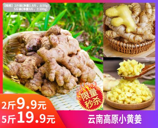 【云南高原小黄姜】姜中“王者”👍  药食同源的养生姜，金黄肉质+肉质紧实饱满、姜丝细腻、味浓辛辣，非常适合去腥提味‼️-DHJ 商品图0