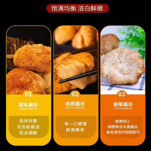 猴头菇黑龙江伊春 商品图2