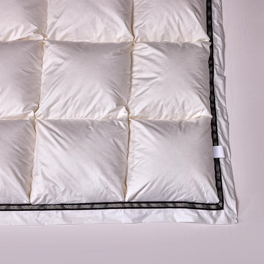 多喜爱 金羽朵95进口白鹅绒加厚冬被-维斯谧境【波兰进口】【95%绒子含量】【100S长绒棉】1000+洁净度 拈花扩容工艺 3D航空舱 10CM检测口 高档皮箱 商品图4