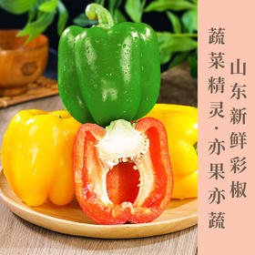 新鲜三色彩椒红黄绿三拼可生吃新鲜沙拉蔬菜现摘现发色泽鲜艳汁水充盈个大饱满亦蔬亦果健身达人独爱