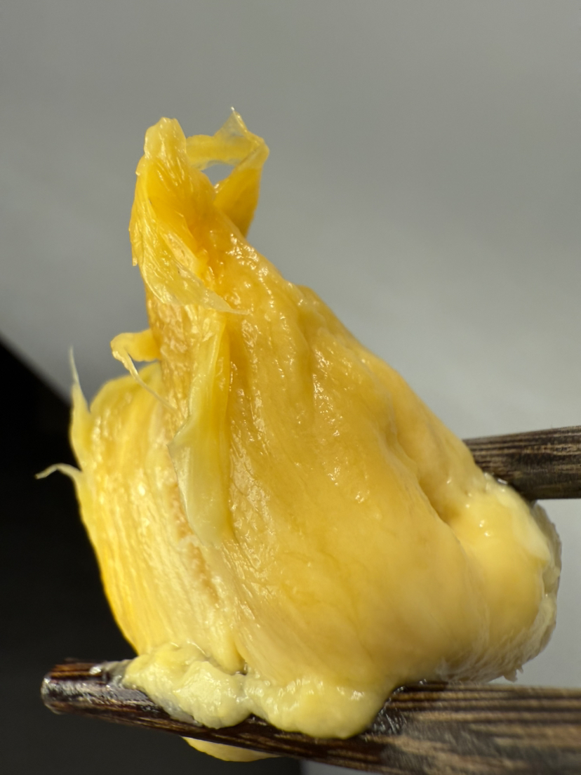 2025年首批黑刺到货！果子圆润饱满 果肉橙黄