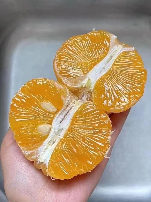 常山胡柚9.8元1袋4.9-5.1斤，明天到 商品图5