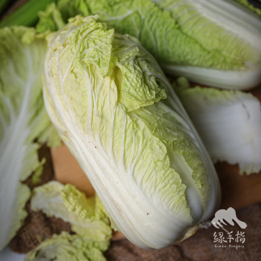 生态娃娃菜团购（包邮）| 绿家自产* Eco-baby Chinese cabbage group-buy | Self-production 商品图0