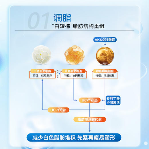 【romi专属】Timeshop 肠倍轻AKK益生菌胶囊 60粒/瓶 [多瓶装]-Romi 商品图6