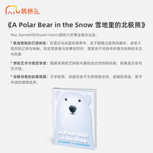A Polar Bear in the Snow 雪地里的北极熊 精装原版引进 商品图1