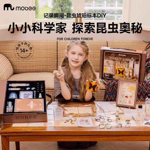 mobee记录瞬间-昆虫琥珀标本 DIYPN-D041 商品图6