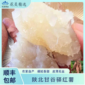 延安甘谷驿红薯 奶油白玉 细腻香甜