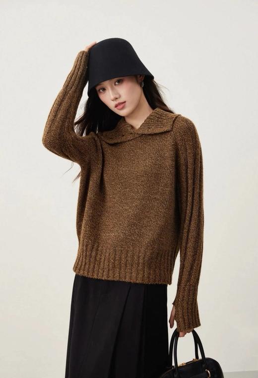 （预售七天发）【高品质私服】【加厚连帽/高领花纱针织衫】单穿/叠穿都戳中氛围感，精致通勤都能搭【无标出货 介意慎拍】WD 商品图4