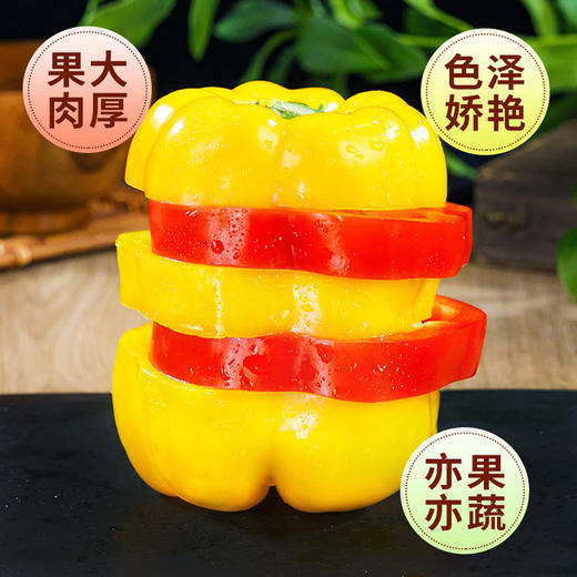 新鲜三色彩椒红黄绿三拼可生吃新鲜沙拉蔬菜现摘现发色泽鲜艳汁水充盈个大饱满亦蔬亦果健身达人独爱 商品图1