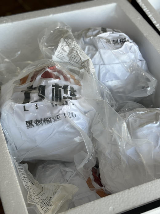 2025年首批黑刺到货！果子圆润饱满 果肉橙黄 商品图6